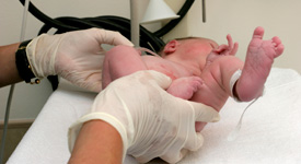 Reproductive-and-Developmental-Sciences
