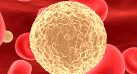Centre for Blood Research