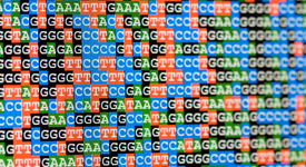 Medical-Genetics